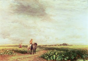 Landschap